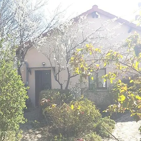 Mirabelle, Parking Prive Clos, Petit Dejeuner, Enfants Et Animaux Bienvenus Chieulles