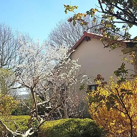 Mirabelle, Parking Prive Clos, Petit Dejeuner, Enfants Et Animaux Bienvenus Bed and Breakfast 3*