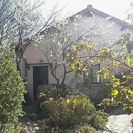 Mirabelle, Parking Prive Clos, Petit Dejeuner, Enfants Et Animaux Bienvenus Bed and Breakfast Chieulles