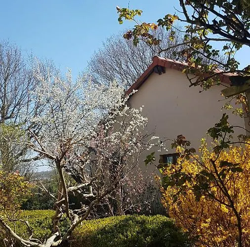 Bed & Breakfast Mirabelle 3*